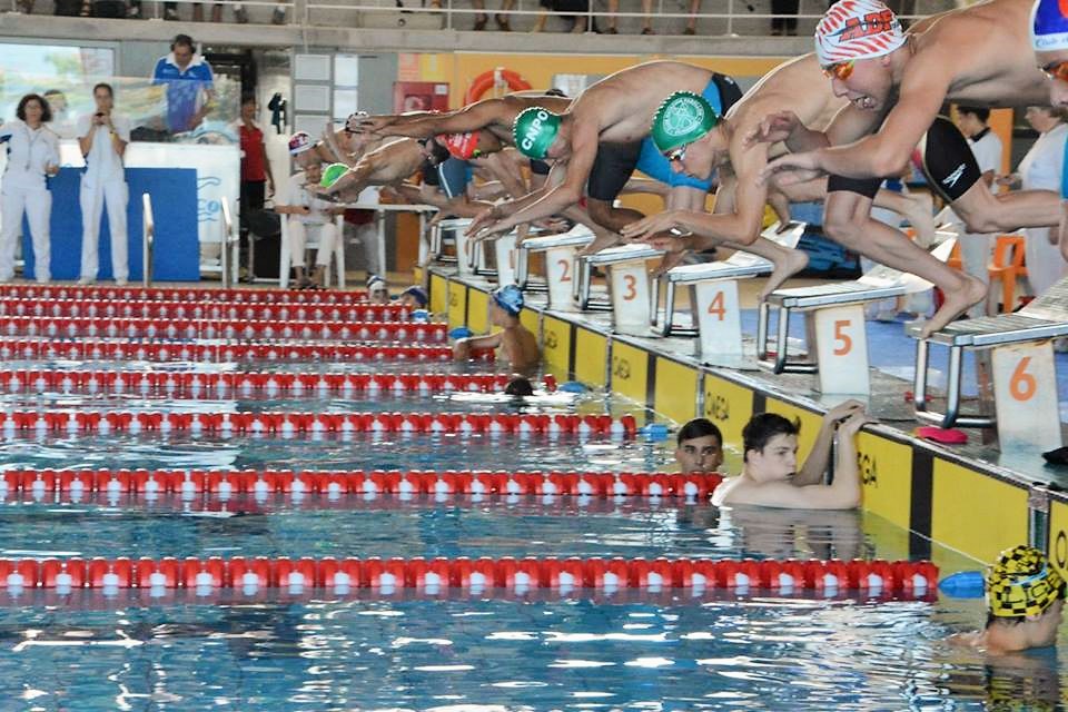6 Nadadores de la AD.Fogar compiten en el Gallego Absoluto